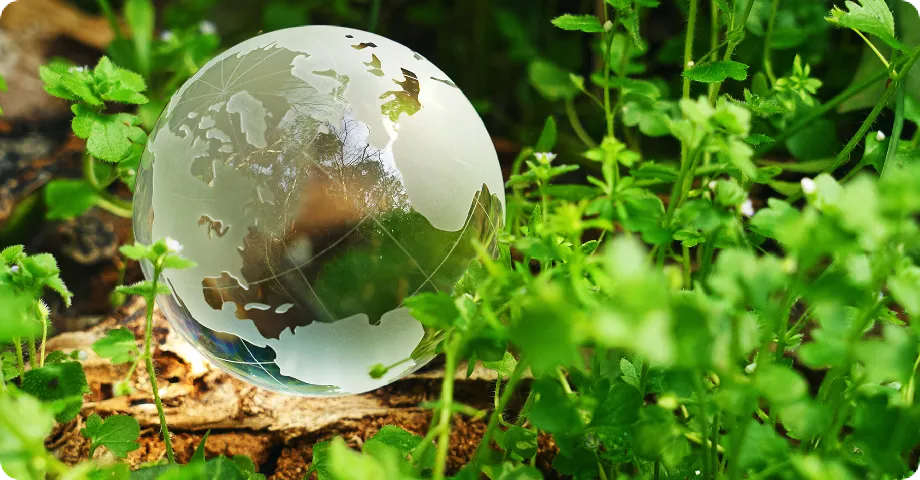 Transparent globe and green plants.