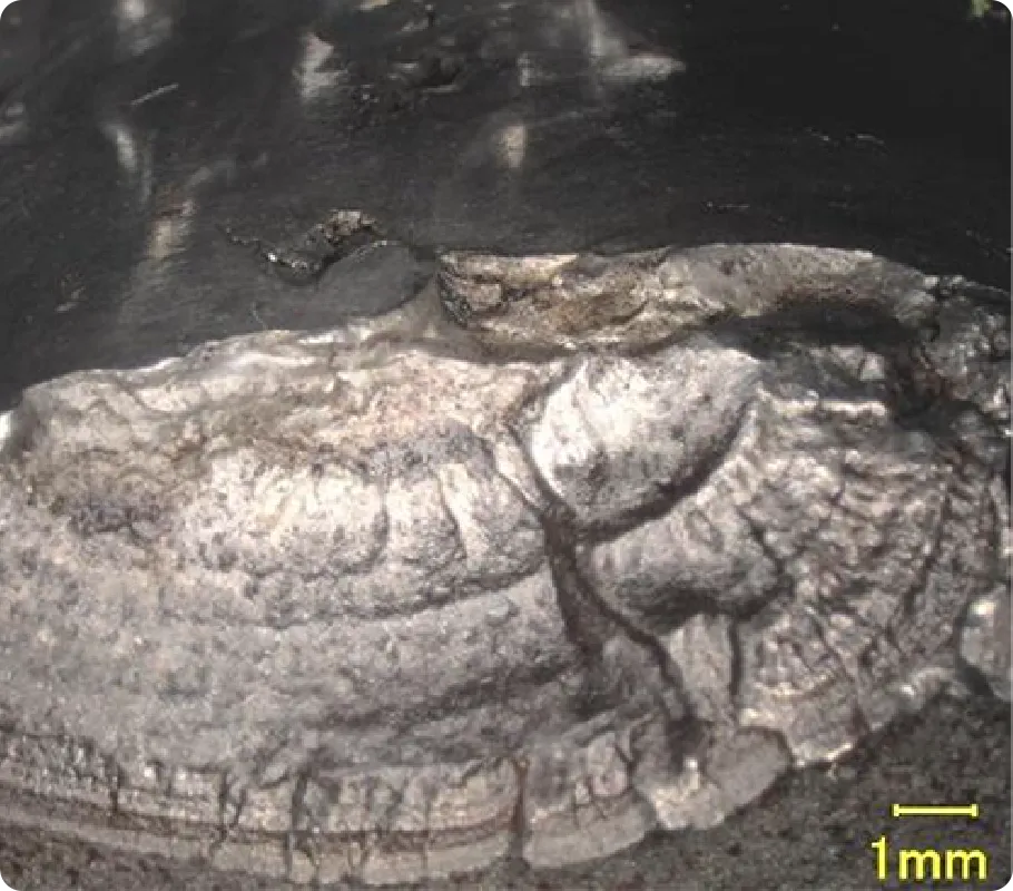 破損事故の画像