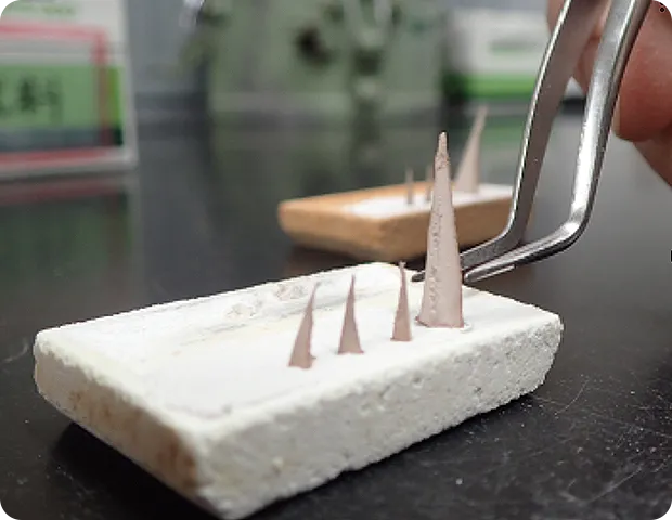 バイオマス燃料イメージ