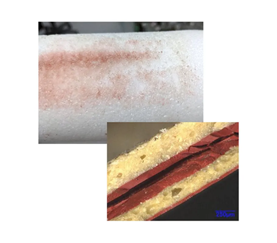 付着塗料の異同識別画像