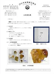 報告書イメージ