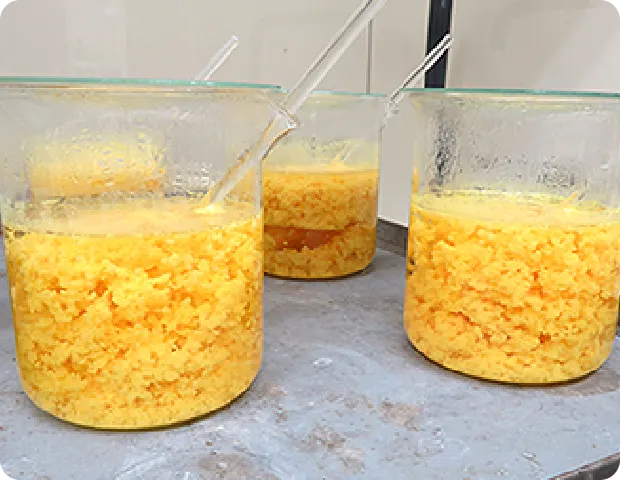 三つのビーカーに入った黄色い結晶状の物質