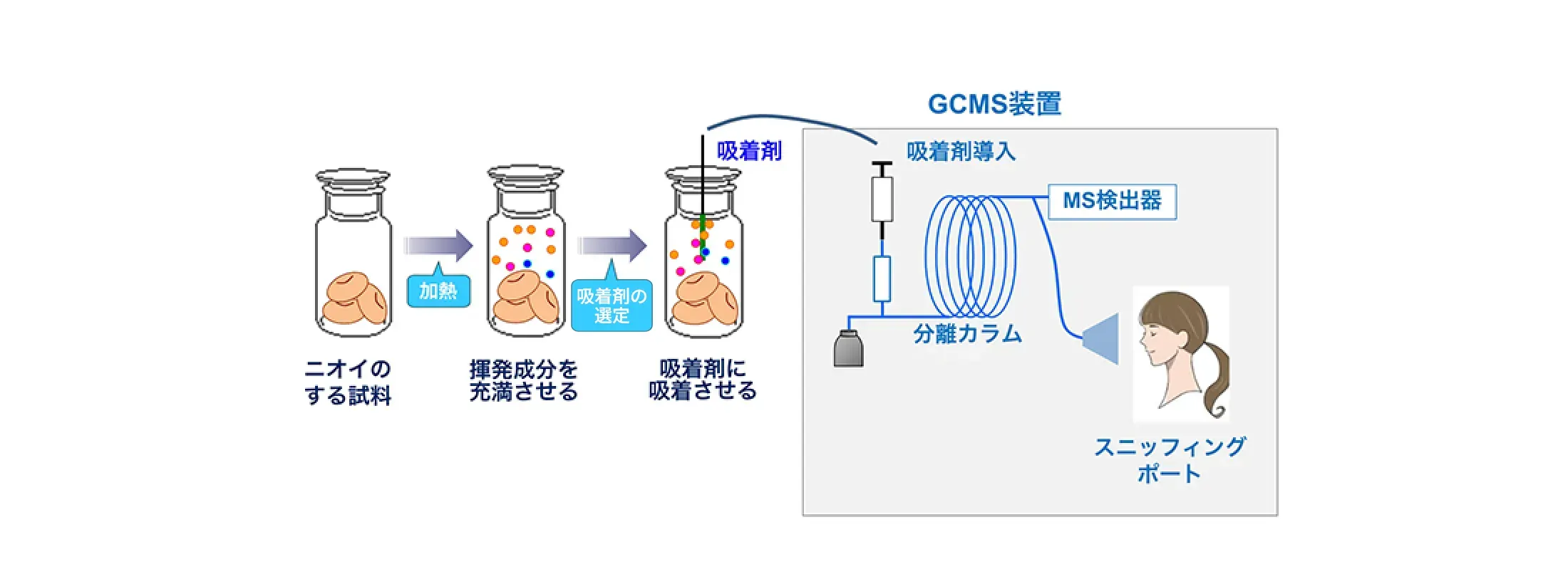 GCMS装置（GCSMS）のフロー図