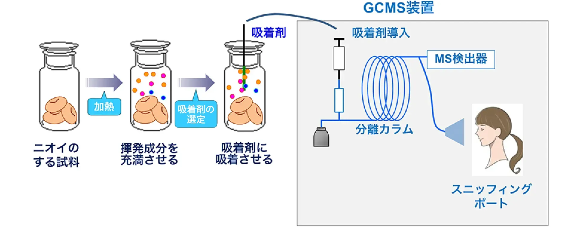 GCMS装置（GCSMS）のフロー図