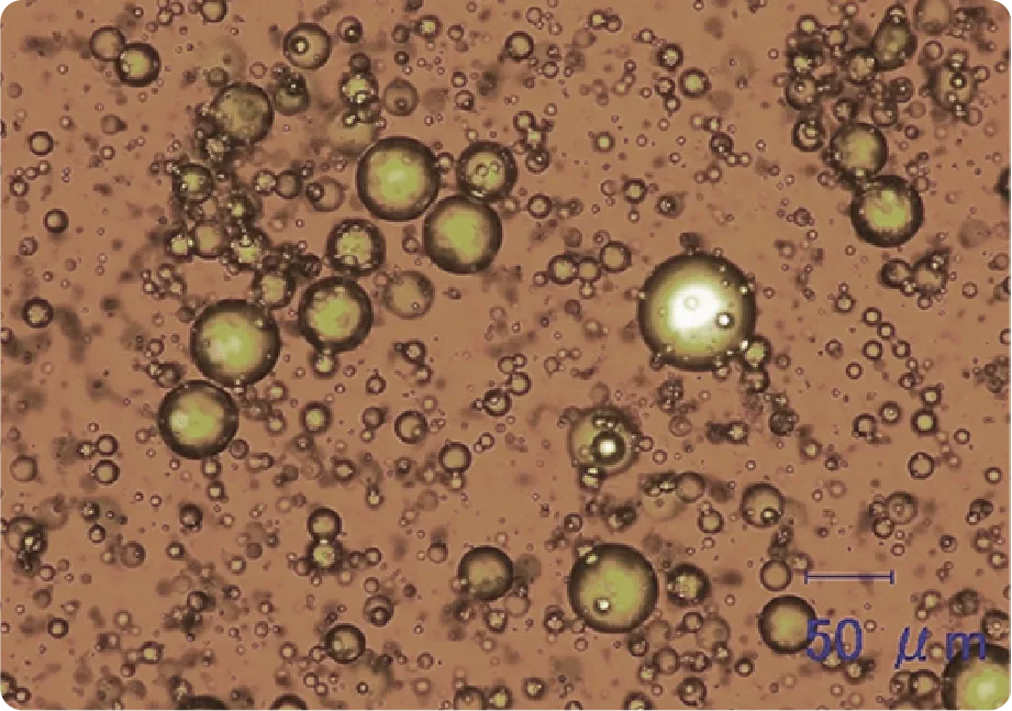 顕微鏡で観察された細胞の画像