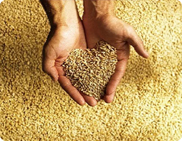 肥料・飼料を持つ手