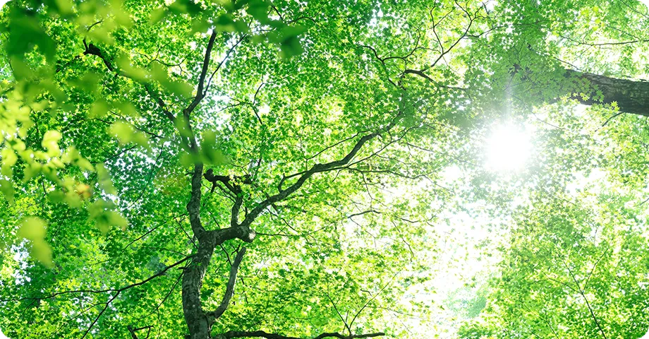 工場と煙突、海の風景