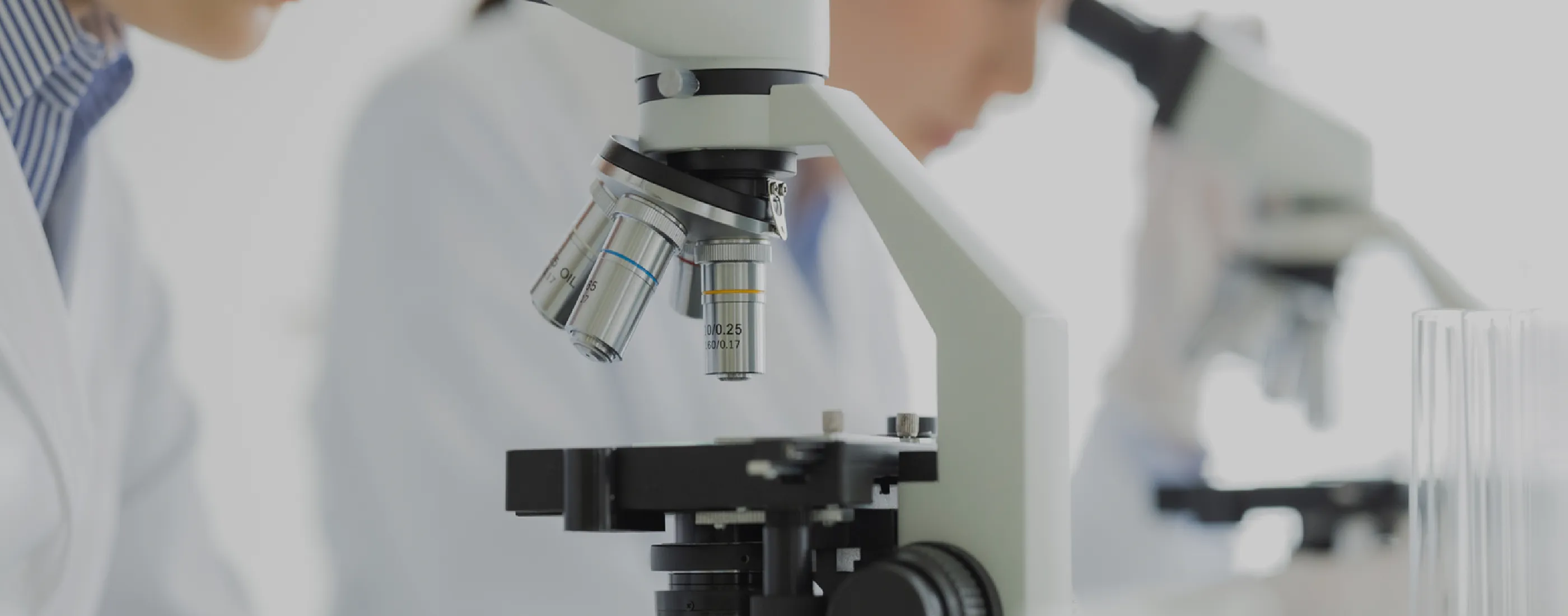 分析のお申し込みイメージ