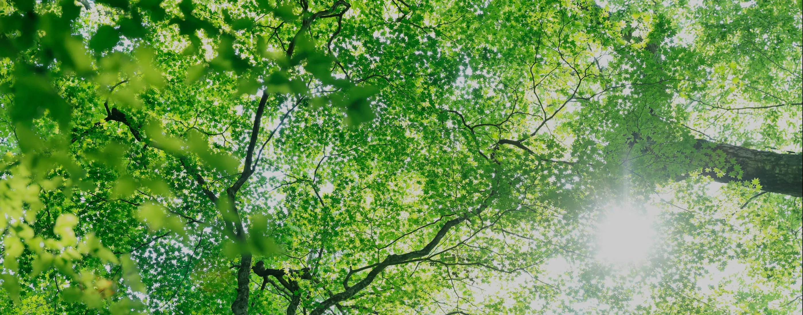 カーボンニュートラル